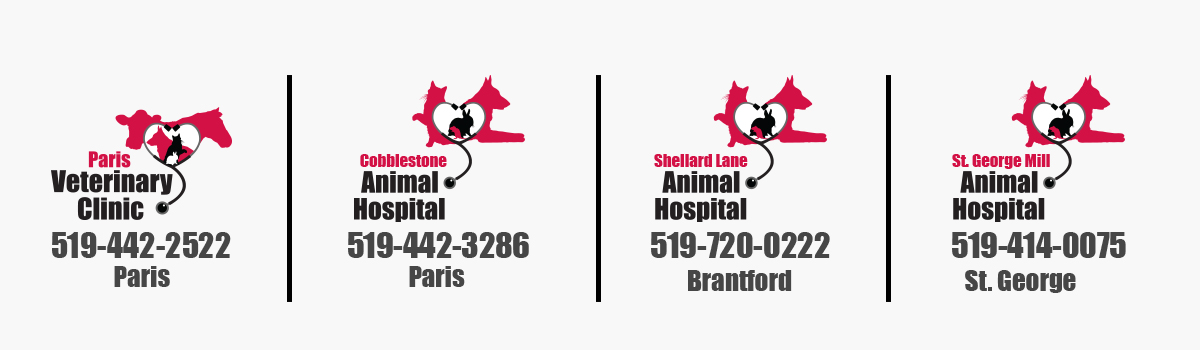 Brant Gold 4 vet clinic logo (1).jpg