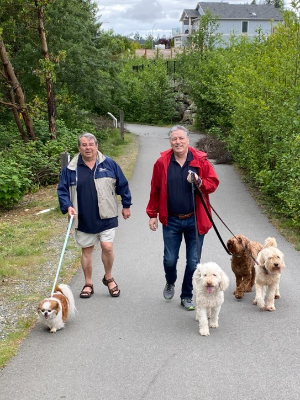 2020 Walk