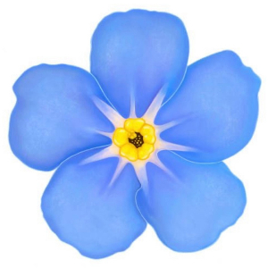 The "Forget-Me-Nots"