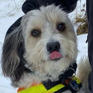 MacDuff is asking for your support