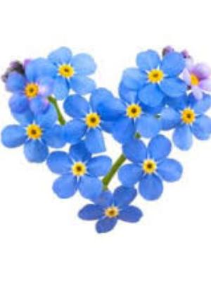 Forget Me Not