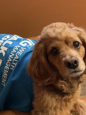 Sadie is walking to support Alzheimer's