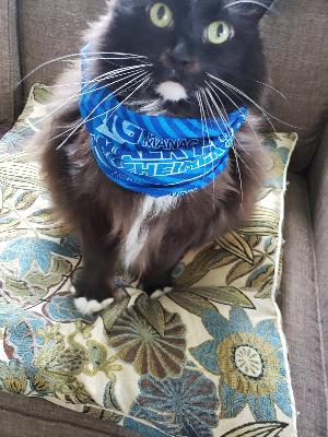 Benvolio supporting the cause!